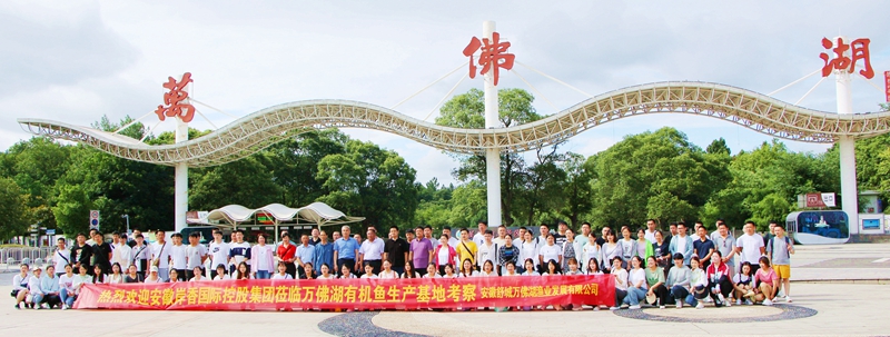 岸香集团优秀员工来美高梅有机鱼养殖基地游学团建活动