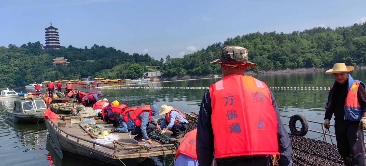 保水净水—mgm美高梅公司更换大水面三处拦鱼设施