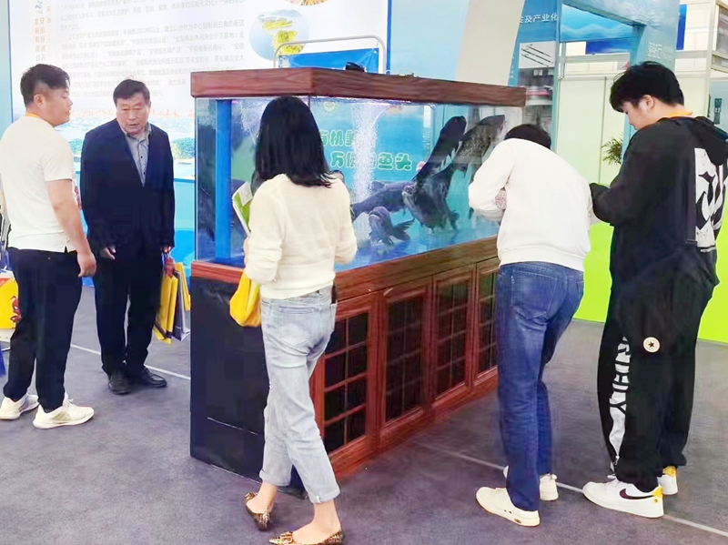 美高梅有机鱼荣膺第六届中国国际现代渔业博览会金奖